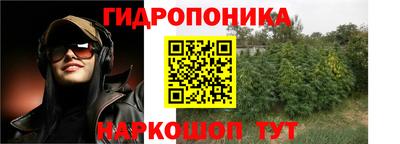 дурь Лесосибирск